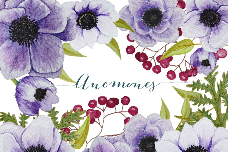 Purple Watercolor Anemones in Illustrations - product preview 8