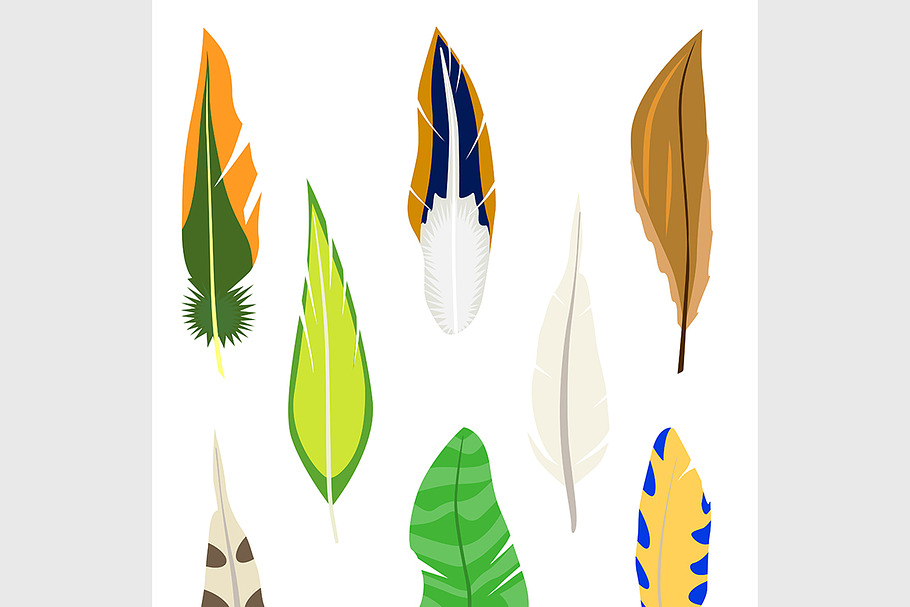 Soft feather in Illustrations - product preview 8