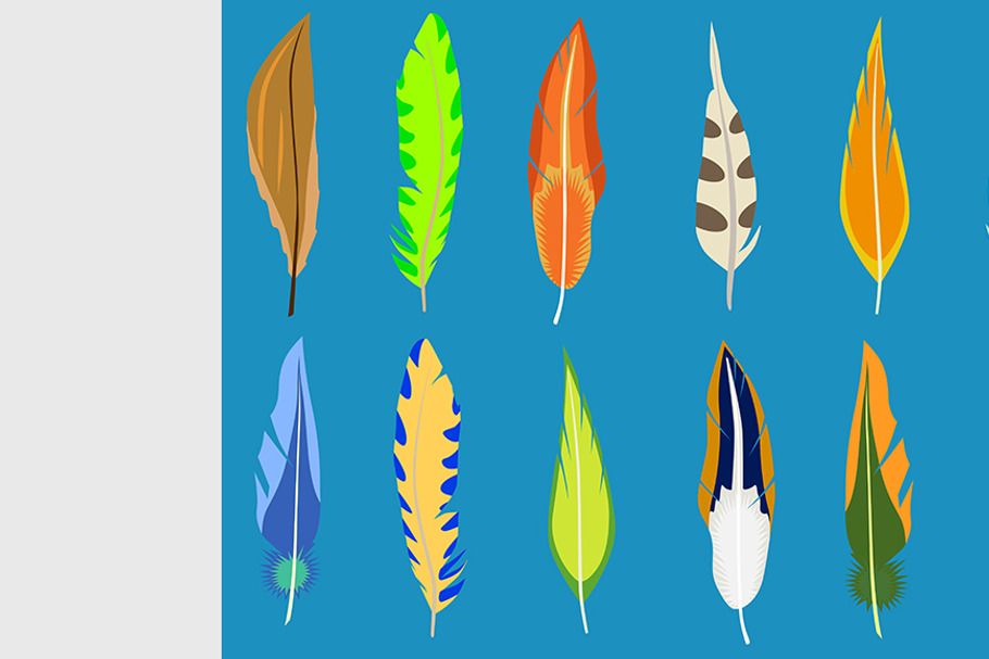 Soft feather in Illustrations - product preview 8