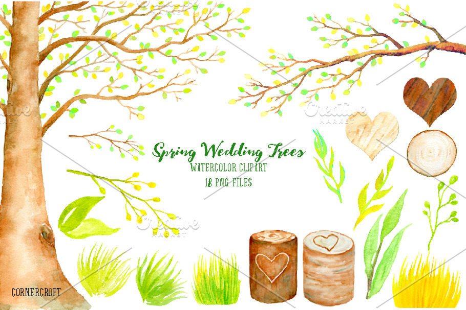 Wedding Tree - Spring Beech