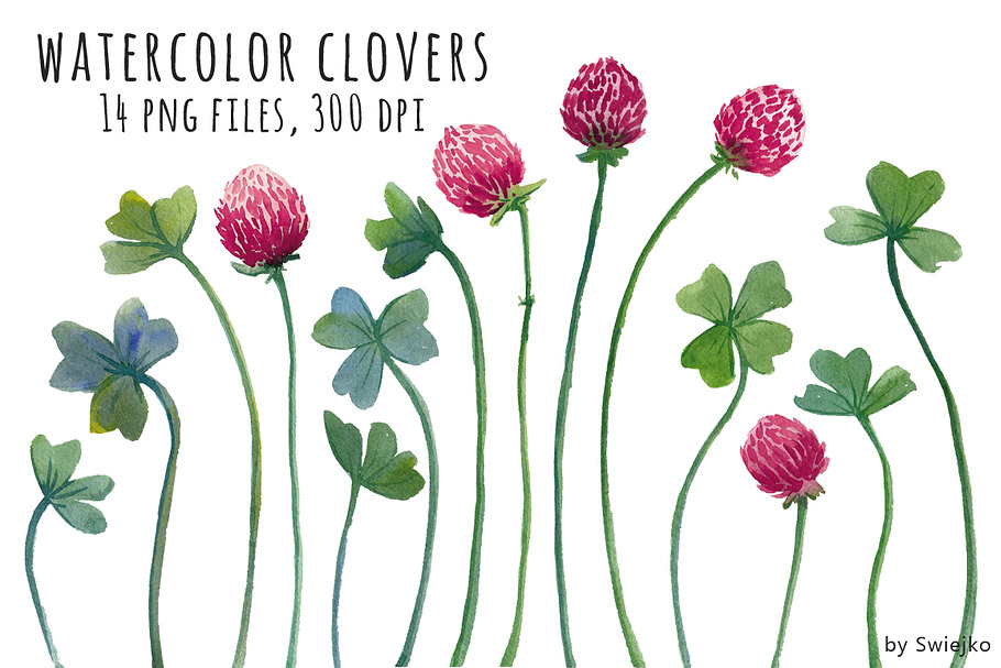 Watercolor Clipart, Clover in Illustrations - product preview 8