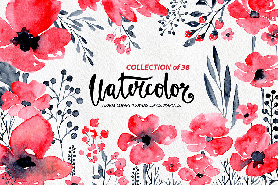 38 Watercolor poppy flowers, leaves in Graphics - product preview 8