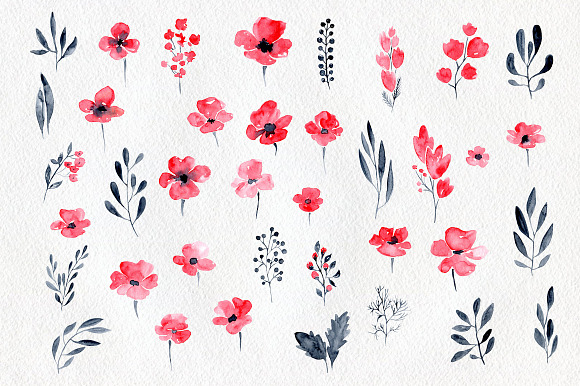 38 Watercolor poppy flowers, leaves in Graphics - product preview 1