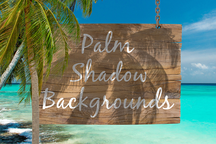 Palm Shadow Backgrounds in Flyer Templates - product preview 8