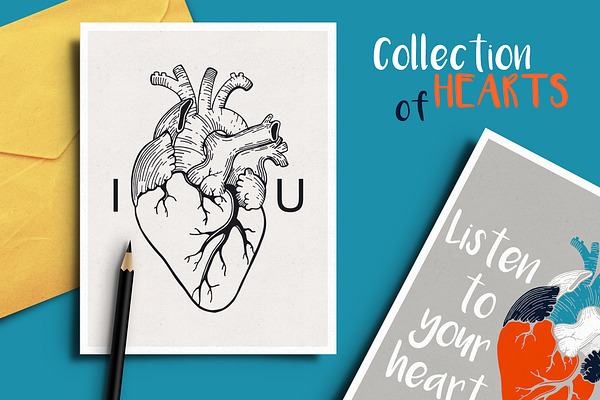 Anatomical hearts & quotes