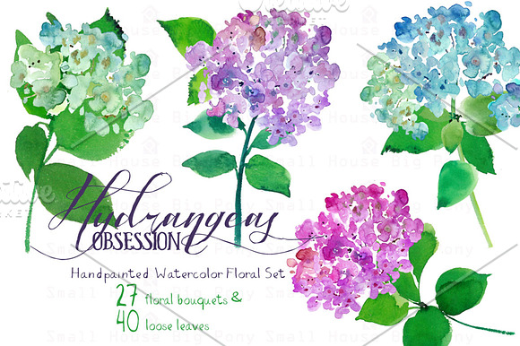 Hydrangeas Obsession - Watercolor in Illustrations - product preview 1