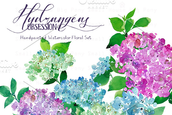 Hydrangeas Obsession - Watercolor in Illustrations - product preview 3