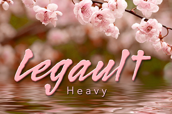 Legault Font Family in Script Fonts - product preview 2
