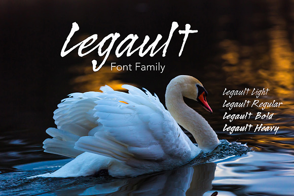 Legault Font Family in Script Fonts - product preview 9