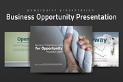 Business Opportunity Presentation