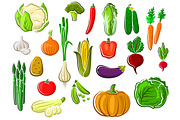 Assorted farm vegetables