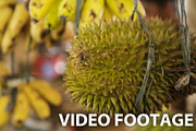 Durian fruit in the market