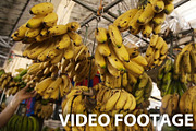 bananas in the fruit market