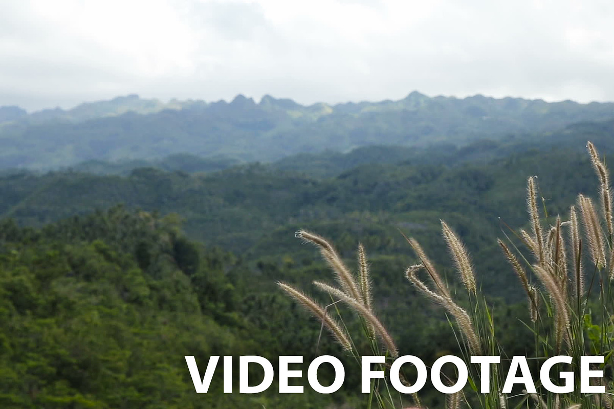  views of jungle mountains in Graphics - product preview 8