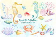 Watercolor Seashell Collection