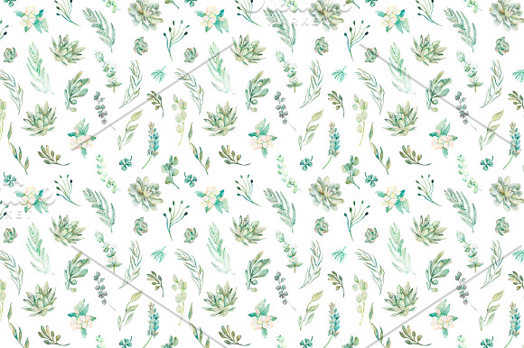 Succulents pattern in Patterns - product preview 2