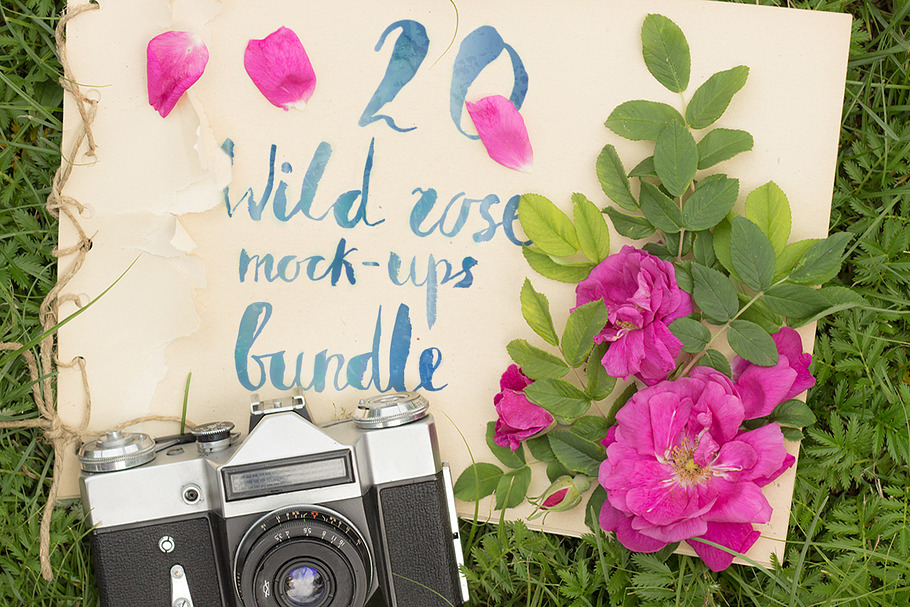 20 wild rose mock-ups bundle