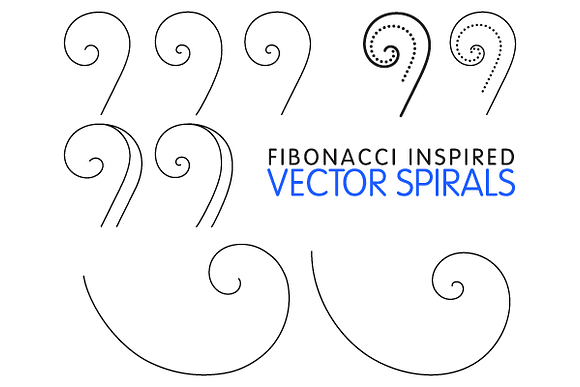 9 Fibonacci Inspired Vector Spirals in Graphics - product preview 1