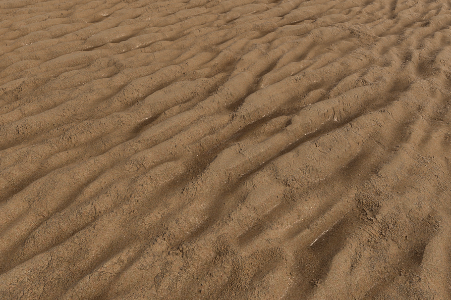 Wet Sand Pack (Tileable) in Organic - product preview 4