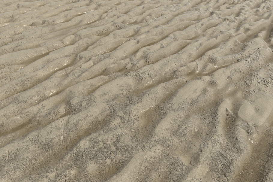 Wet Sand Pack (Tileable) in Organic - product preview 5