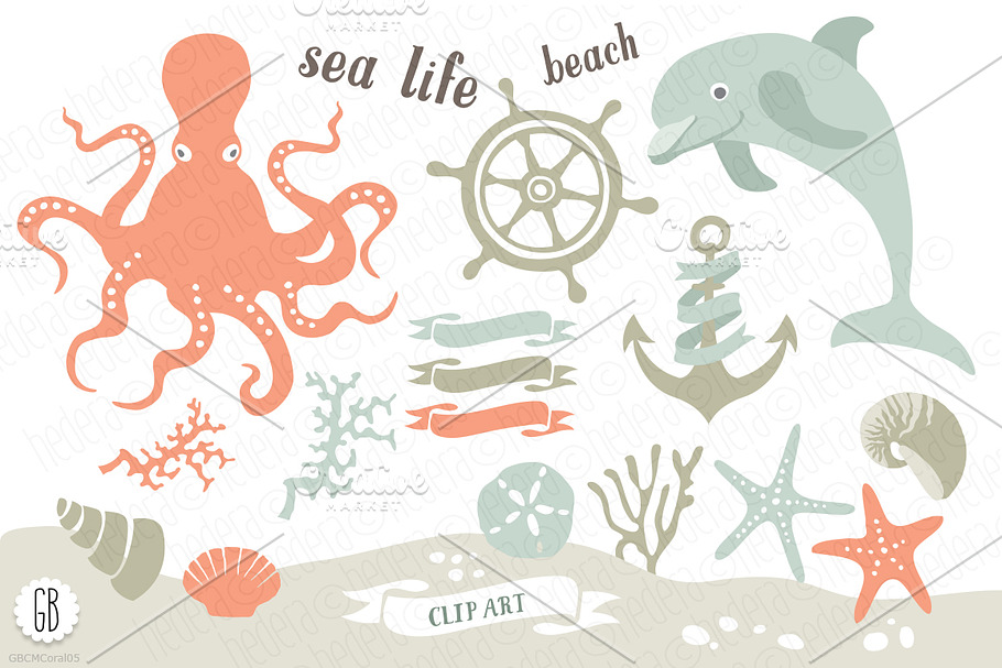 Beach sea octopus dolphin 05