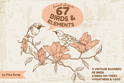67 Hand-drawn Birds & Elements