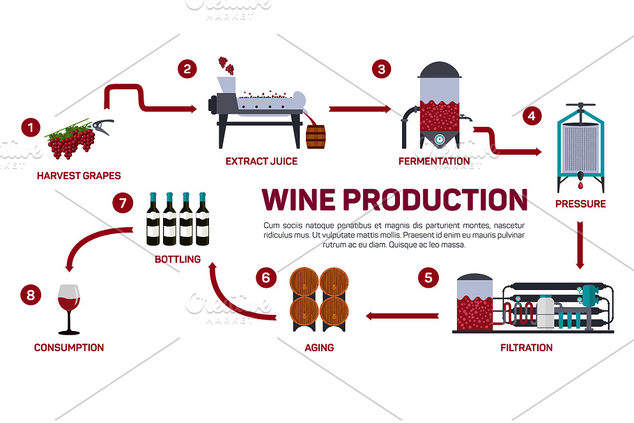 Vector illustration of winemaking