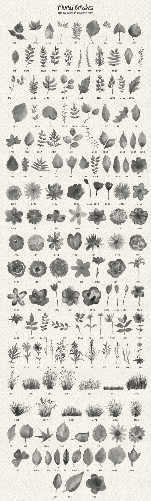 Floral Watercolor PS Stamp Brushes in Photoshop Brushes - product preview 4