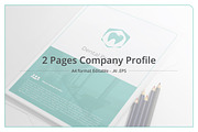 Minimal Company Profile - Flow