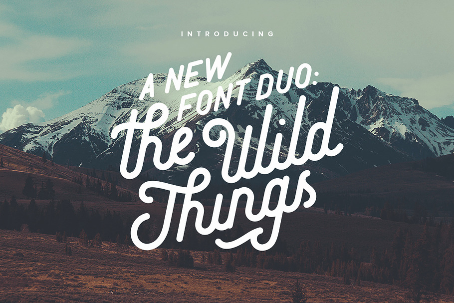 The Wild Things in Hipster Fonts - product preview 8