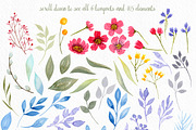 Watercolor Flowers Pack