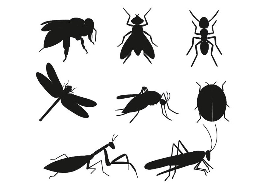 Black silhouette Insects vector set