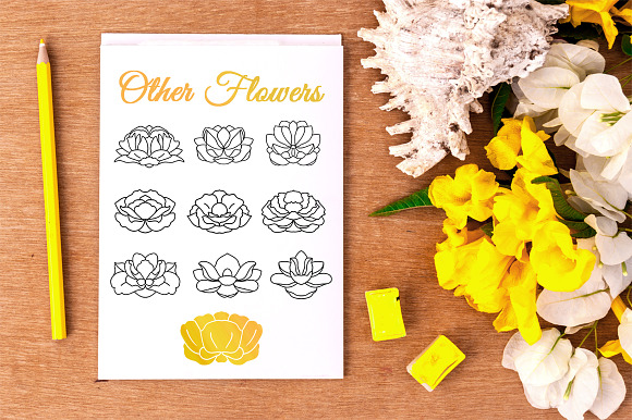 50% Off! 200+ Flower Logos Bundle in Logo Templates - product preview 4