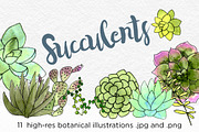 Succulents Botanical Watercolors