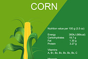 ripe corn cob, vector