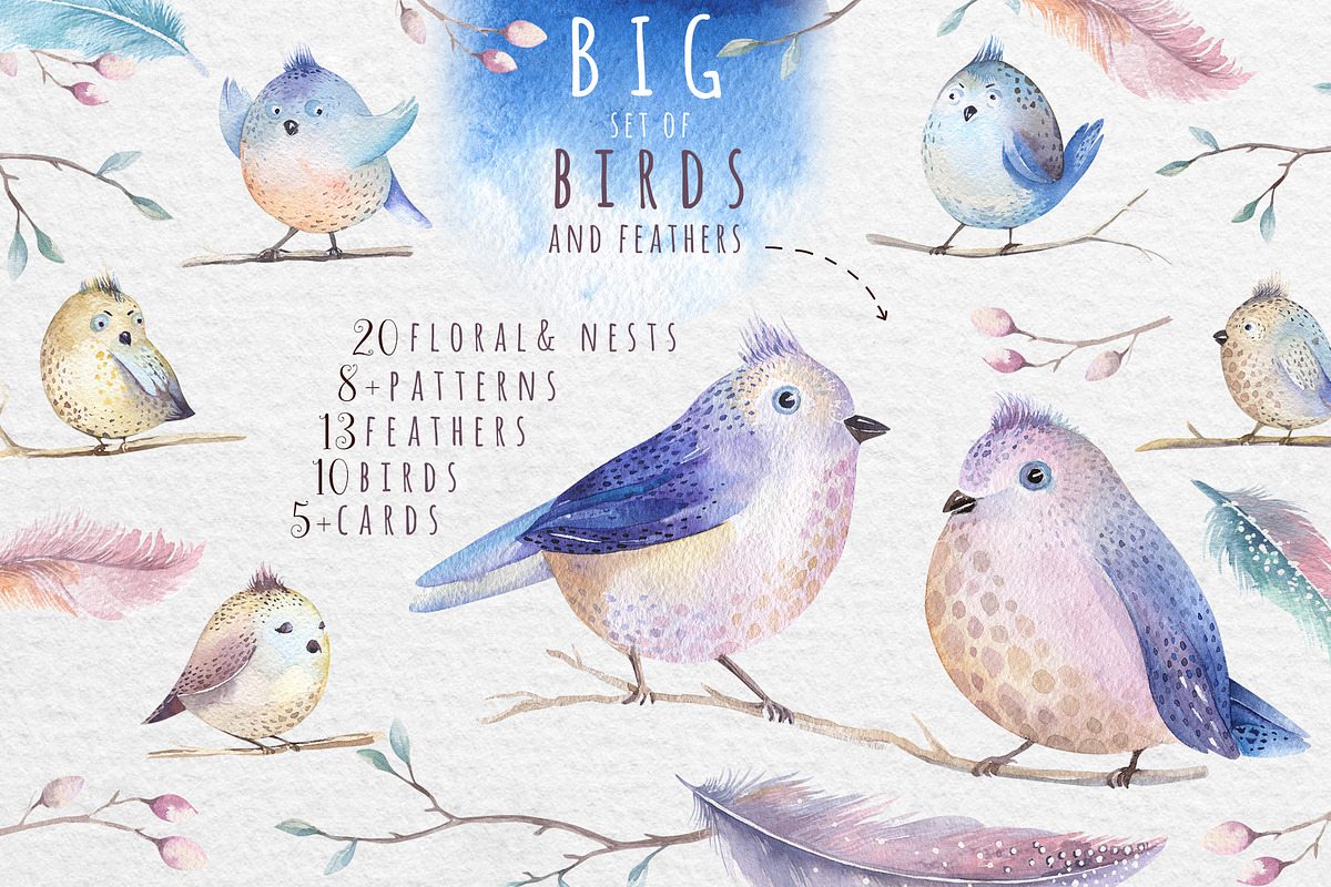Watercolor birds and feathers in Illustrations - product preview 8