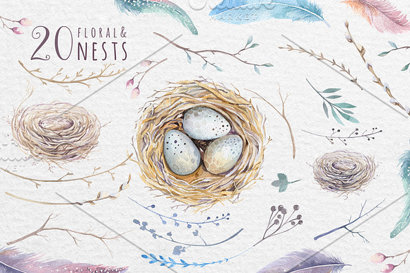 Watercolor birds and feathers in Illustrations - product preview 1