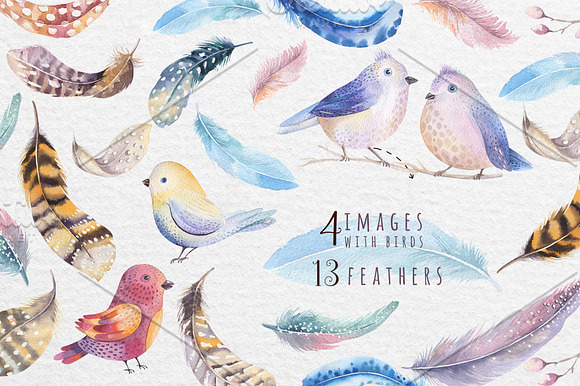 Watercolor birds and feathers in Illustrations - product preview 3