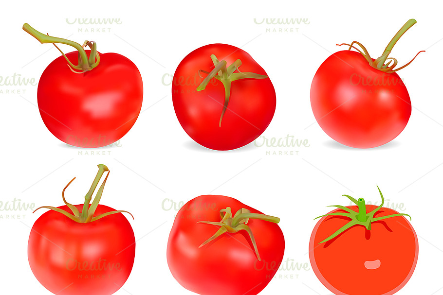 Realistic red Tomatos in Graphics - product preview 8