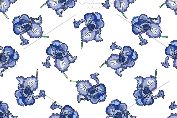 Floral iris pattern