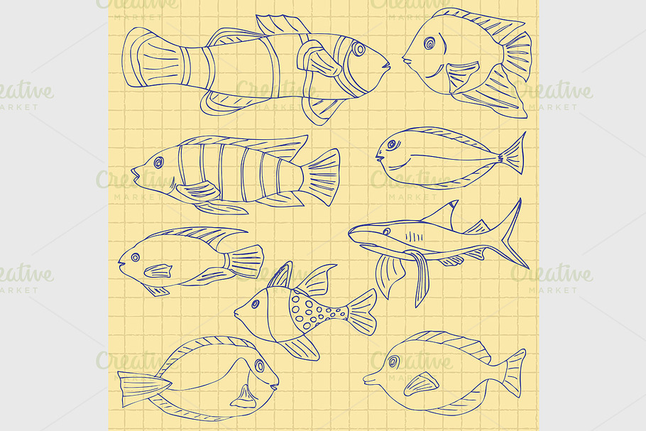 Sketch of sea Fish
