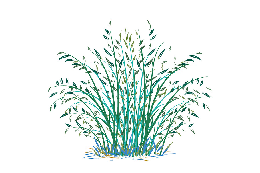 Bush of bamboo on white in Illustrations - product preview 8
