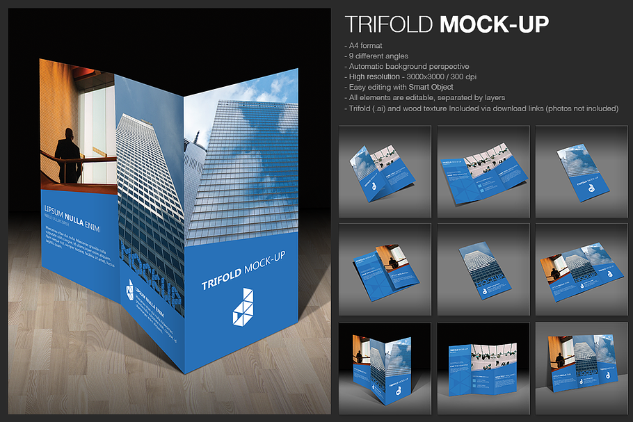 Trifold Mock-up