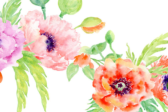 Watercolor Poppy Floral Arrangements in Illustrations - product preview 2