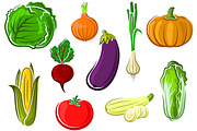 Ripe farm vegetables