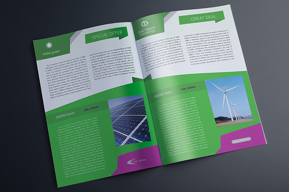 Indesign Multipurpose Green Catalog in Brochure Templates - product preview 5
