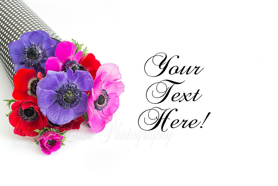 Flower styled stock photography