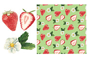 Watercolor strawberry set