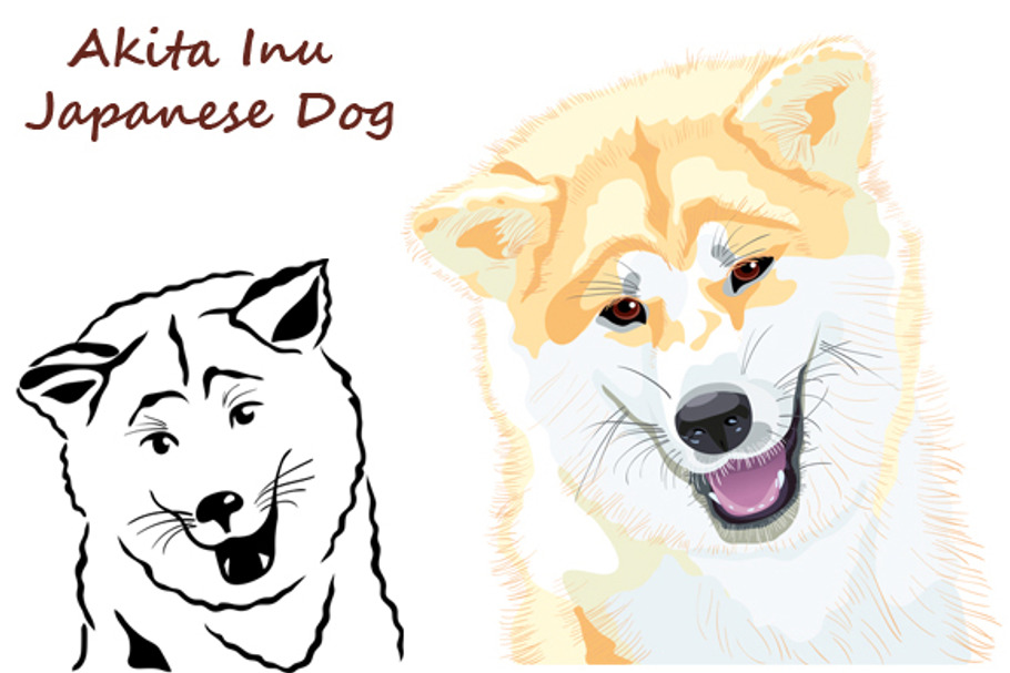 Akita Inu Japanese Dog smiles in Illustrations - product preview 8