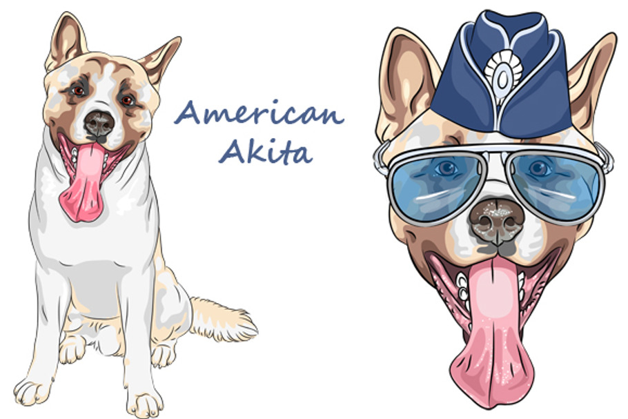  Dog American Akita Set